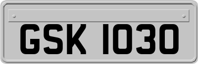 GSK1030