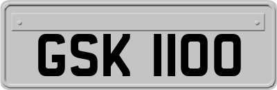 GSK1100