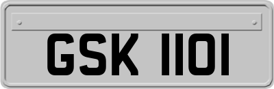 GSK1101