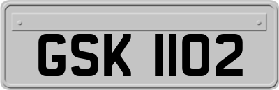 GSK1102