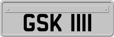 GSK1111