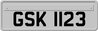 GSK1123