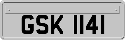 GSK1141