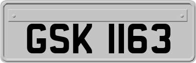 GSK1163