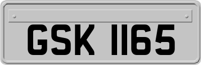 GSK1165
