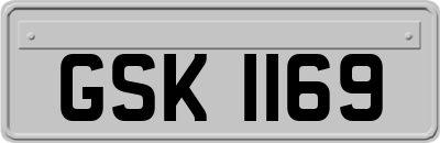 GSK1169