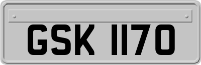 GSK1170
