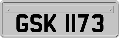 GSK1173