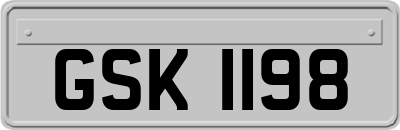 GSK1198