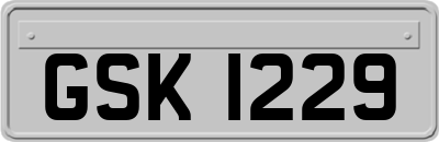 GSK1229