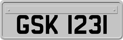 GSK1231