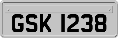 GSK1238