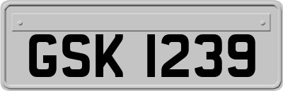 GSK1239