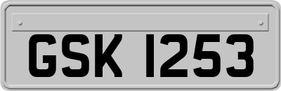 GSK1253