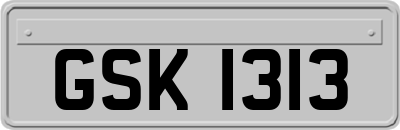 GSK1313