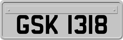 GSK1318