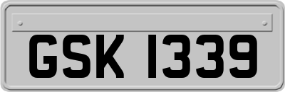 GSK1339