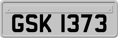 GSK1373