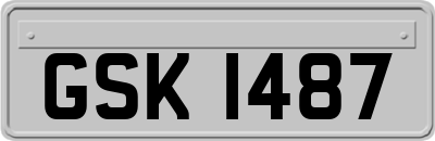 GSK1487