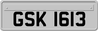 GSK1613