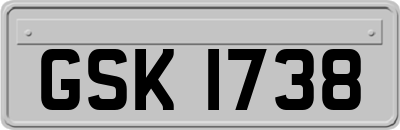 GSK1738