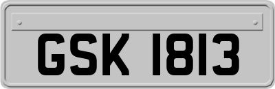 GSK1813