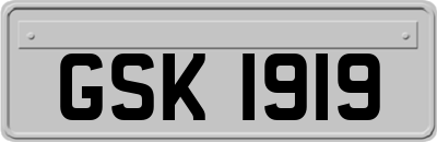 GSK1919