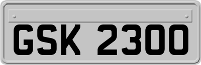 GSK2300