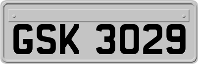 GSK3029