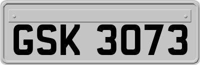 GSK3073