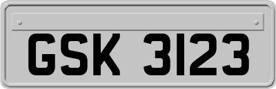 GSK3123