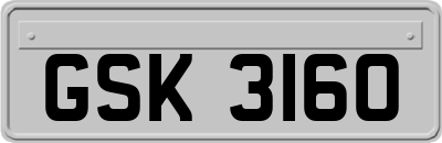GSK3160