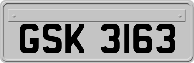 GSK3163