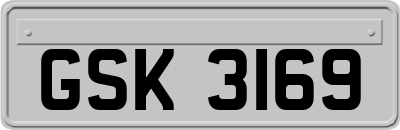 GSK3169