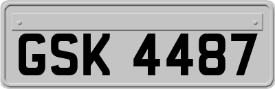 GSK4487