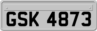 GSK4873