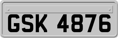 GSK4876