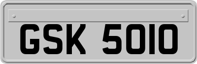 GSK5010