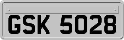 GSK5028