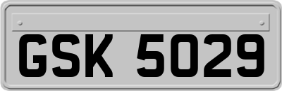 GSK5029