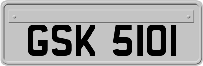 GSK5101