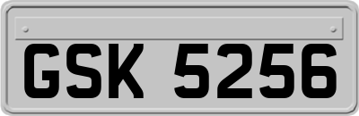 GSK5256