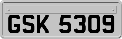 GSK5309
