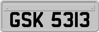 GSK5313