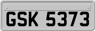 GSK5373