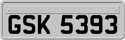GSK5393