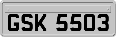 GSK5503