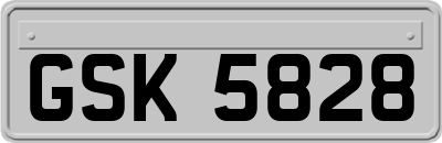 GSK5828