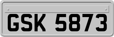 GSK5873