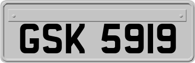GSK5919